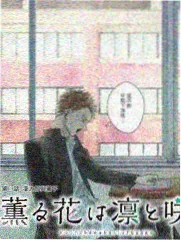 一起去露营 免费旅行综艺